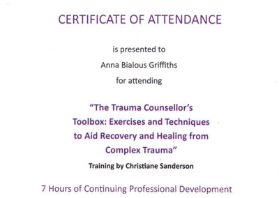 The Trauma Counsellor's Toolbox